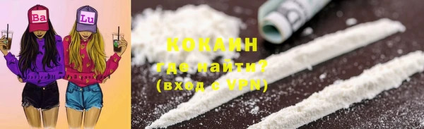 соль ск Козельск