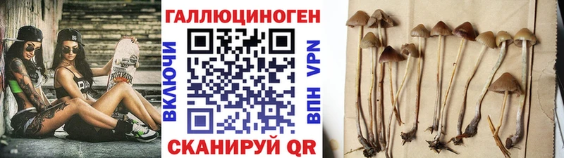 Купить закладки  Обнинск  Галлюциногенные грибы прущие грибы 